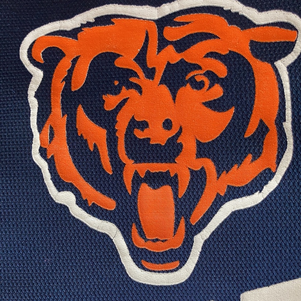 Chicago Bears Pillow and Scarf - Picture 3 of 10